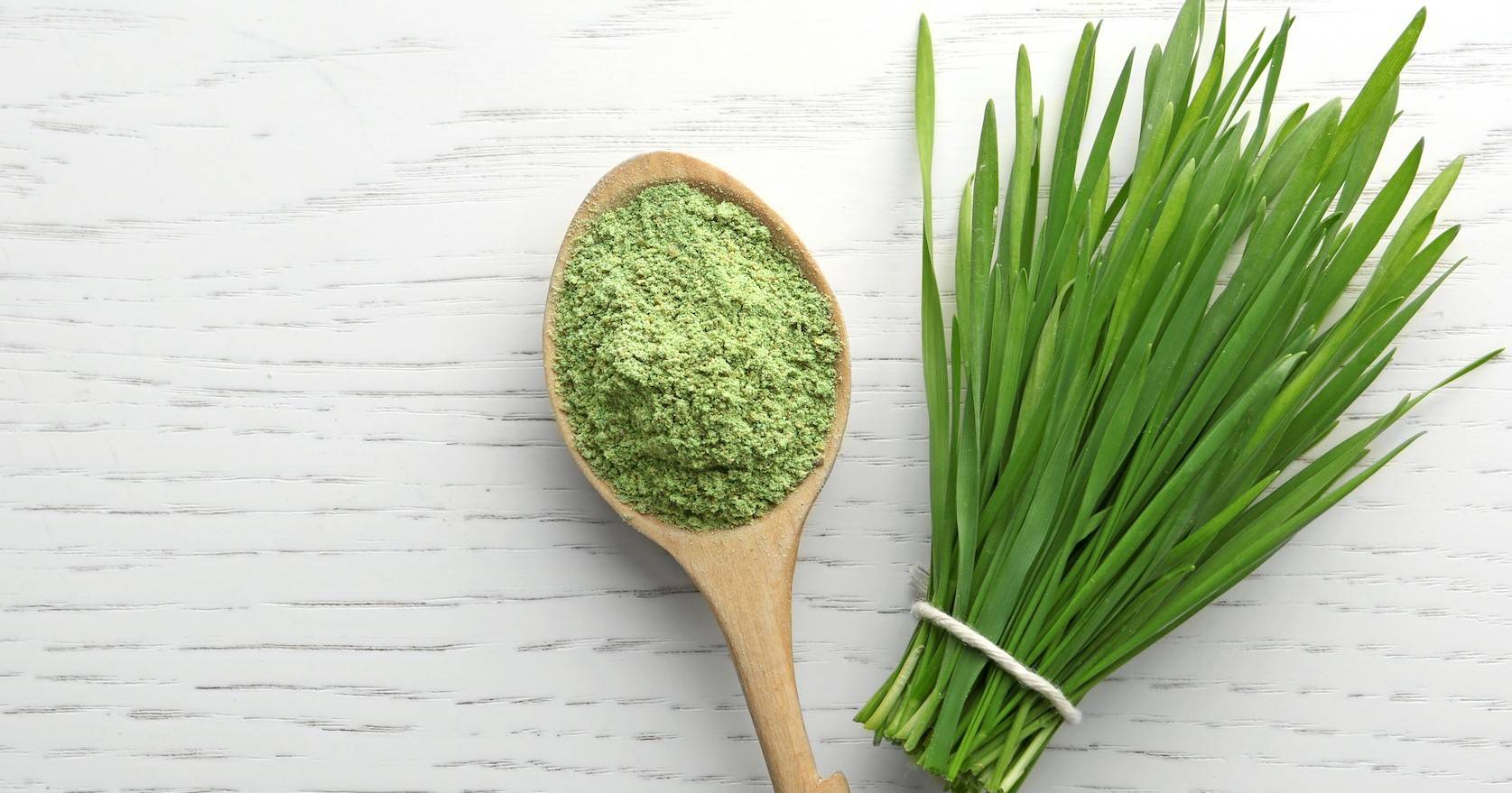Wheat Grass Powder or Fresh?