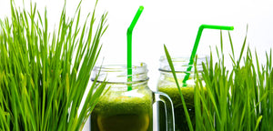 How to Use Wheat Grass Powder