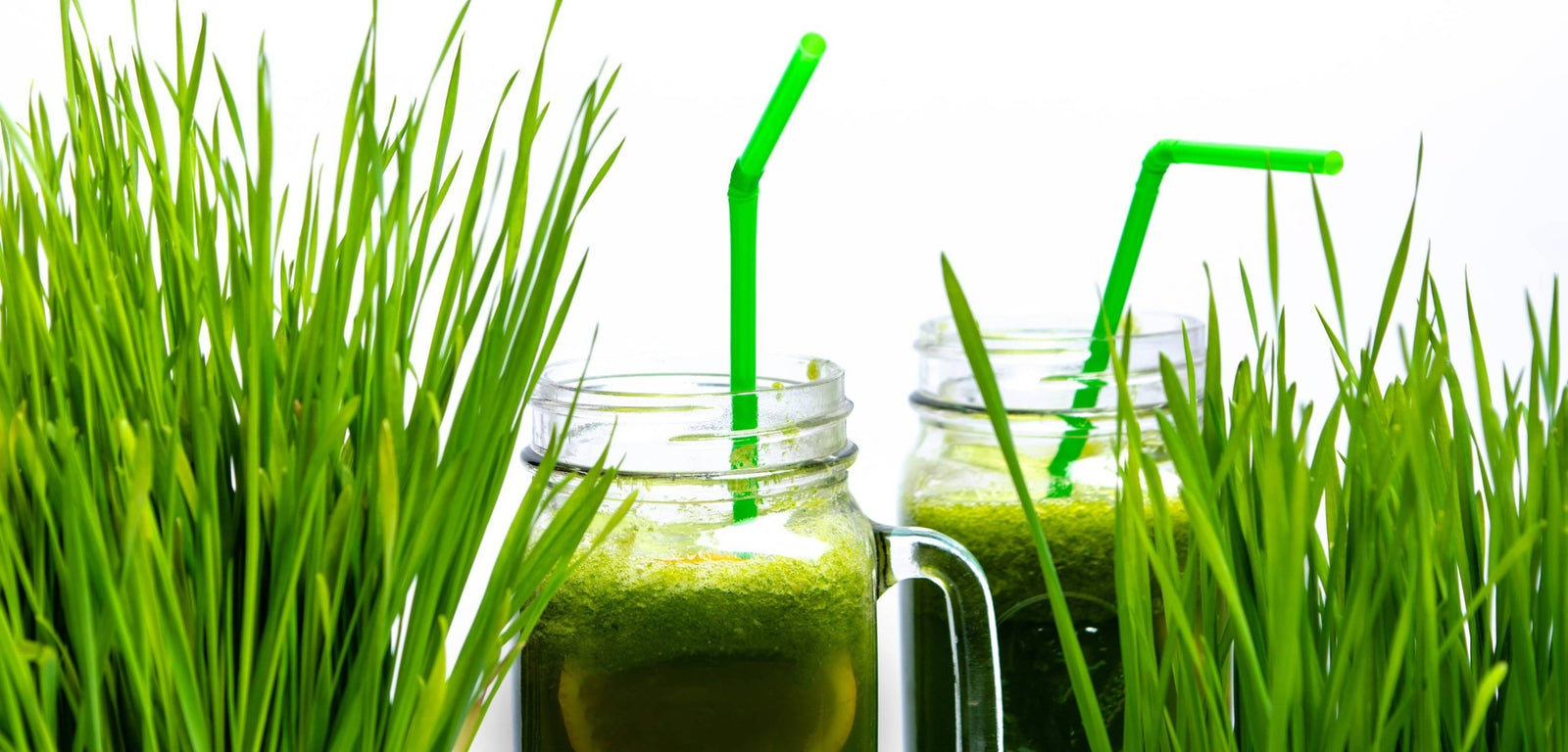 How to Use Wheat Grass Powder