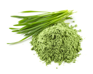 What is Wheat Grass Juice Powder?