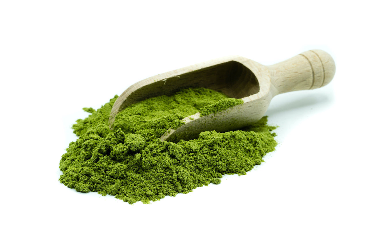 Wheat Grass Pills vs Powder